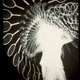 Illustration for article titled Chronophotography: The Photos That Revealed The Secrets Of Motion